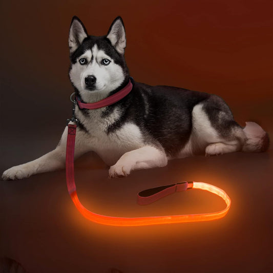 Light up Dog Leash, LED Pet Leashes USB Rechargeable, Glow Safety Dogs Lights at Night (4Ft,Orange)