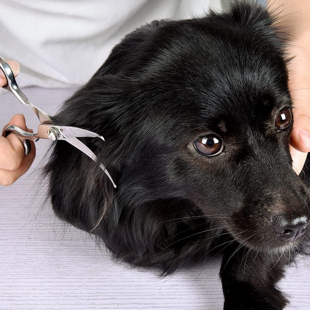 Pawluxe Curved Grooming Scissors with Round Tips